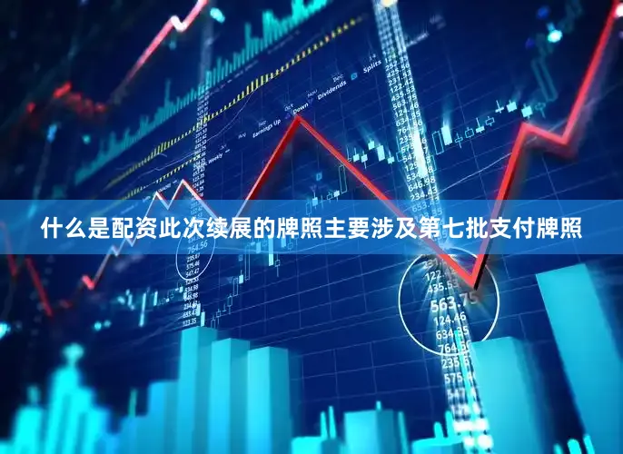 什么是配资此次续展的牌照主要涉及第七批支付牌照