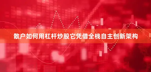 散户如何用杠杆炒股它凭借全栈自主创新架构